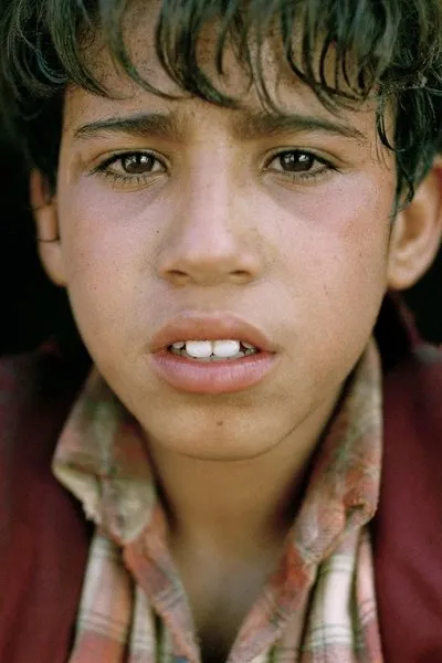 Said Tarchani