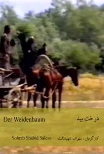  فیلم The Willow Tree 1984
