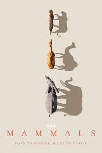  سریال Mammals