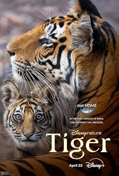  مستند Tiger 2024