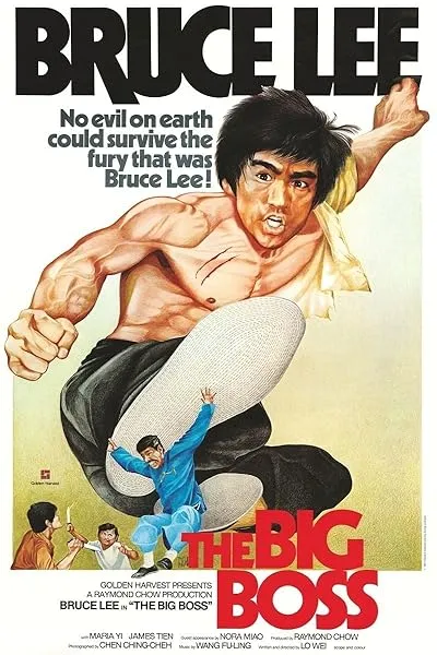  فیلم The Big Boss 1971