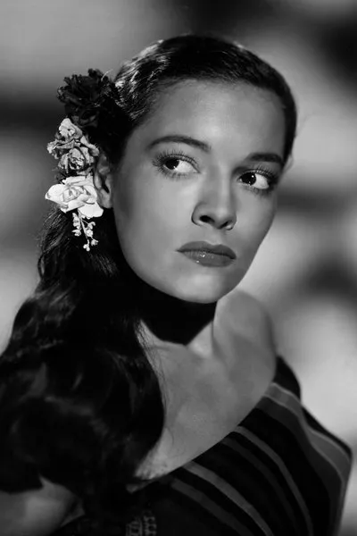Luisella Boni