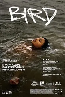  فیلم Bird 2024