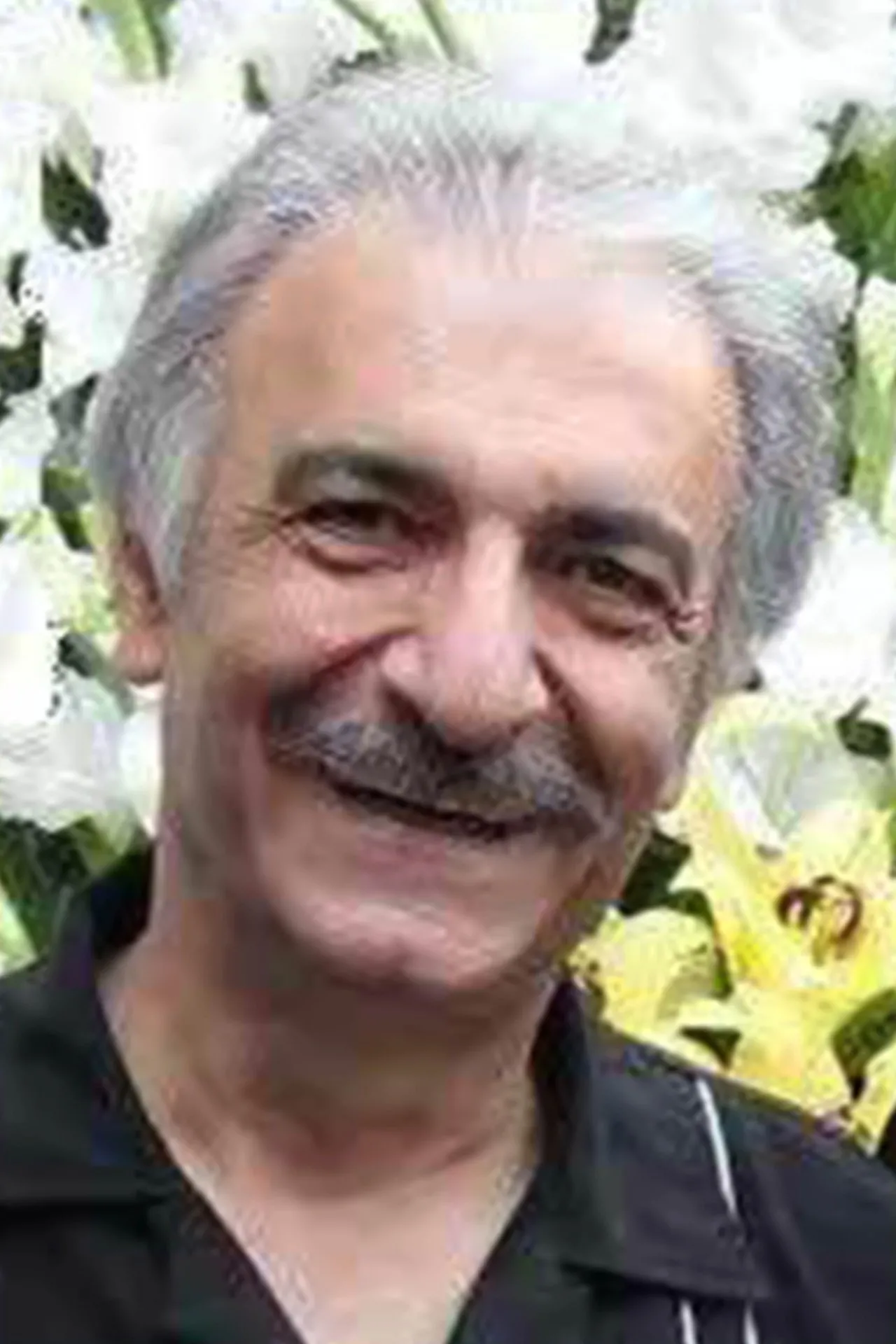 رامین نعمتی