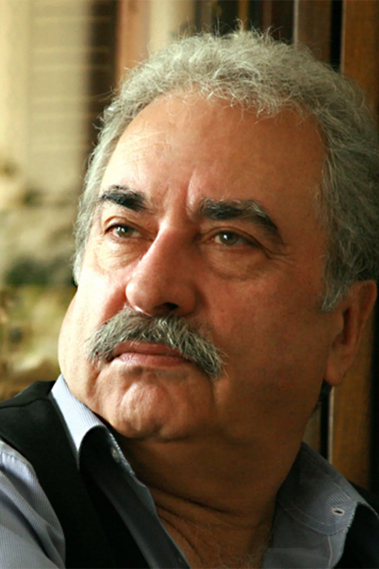 هادی مرزبان