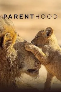  سریال Parenthood