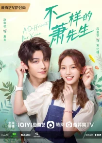 سریالA Different Mr. Xiao