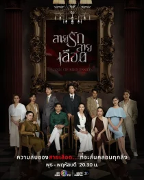 سریالGame of Succession